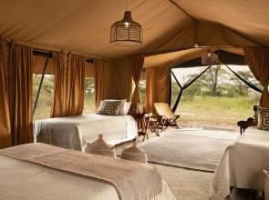 Serengeti Sojourn