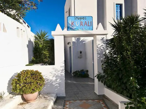 Korali Studios