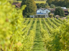 Denbies Farmhouse B&B