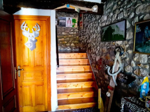 SURFtoLIVE House - Hostel