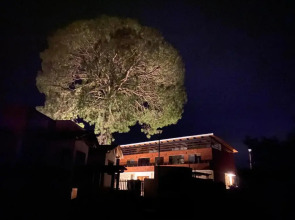 Cabaña QUINTA GAES SPA