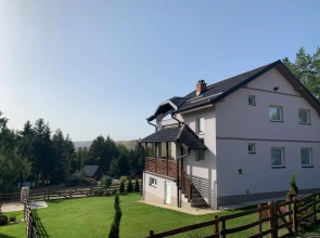 Vila Dzavric