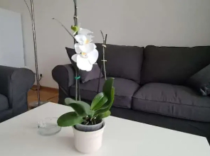 Stunning 1-bed Apartment in Neuss
