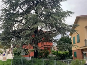 House With 3 Bedrooms in Motta, With Wonderful City View and Furnished Garden