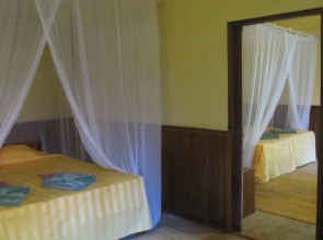Rimba Orangutan Eco Lodge