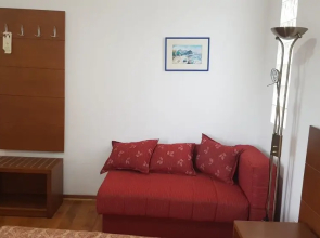 Hotel Paun