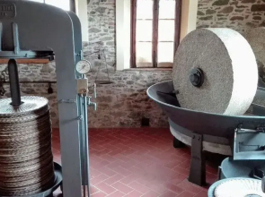 Agriturismo Luggiano