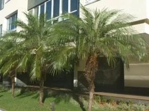 Apartamento Alto Luxo