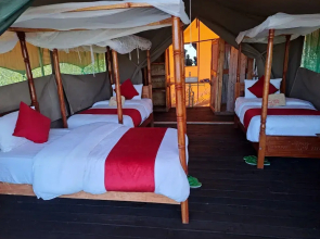 Tayari Luxury Tented Camp- Masai Mara