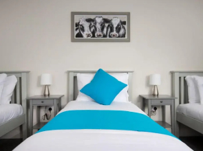 Oliverball Serviced Apartments - Flat C - Spacious first floor, 3 bedroom, 2 bathroom apartment in Central Southsea