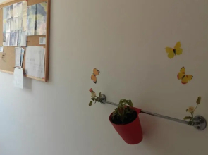 Apartments Aleksandra