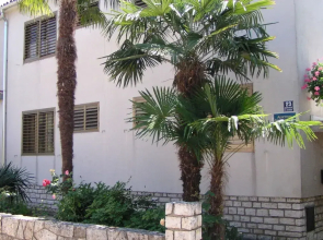 Sunny Street Apartments 2