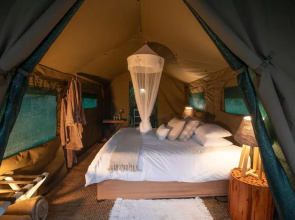 Kruger Untamed - Satara Plains Camp