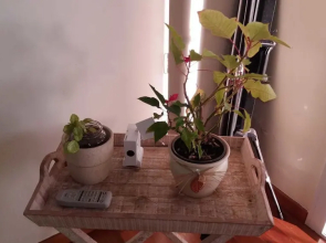 Apartamento Jade