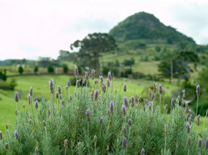 Estalagem La Hacienda