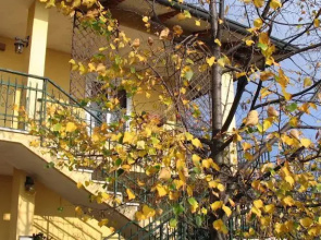 B&B Berici Way E Alloggio