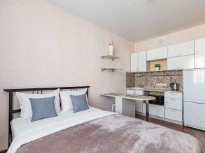 Стрелка на улице Бурнаковская 93