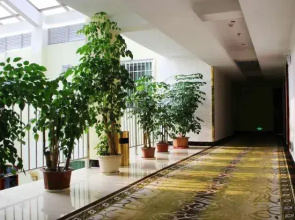 Huatianlong Business Hotel