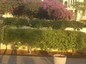 Sea View Apartment at Tala Bay Resort in Aqaba