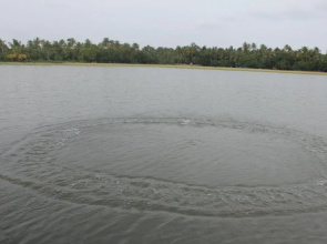 Kadalkkara Lake Resort