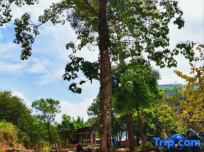 Shuiyun Jingshe Hot Spring Hotel (Xinfeng Meikeng)
