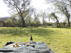 The Nest - Family friendly caravan nr Glastonbury & Street
