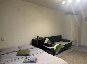 Apartments on Maxim Gorky street 17