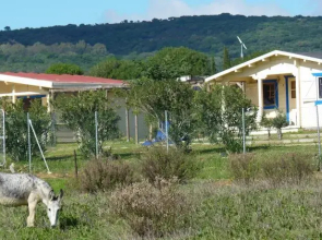 Maryvacas