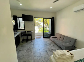 Lavish Studio w Balcony Downtown 3