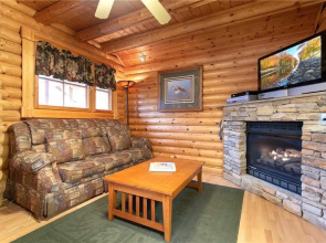 Enchanted Forest 1 Bedroom Home with Gas Fireplace