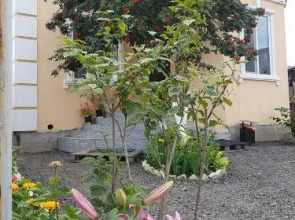 Dom U Naberezhnoy Hostel