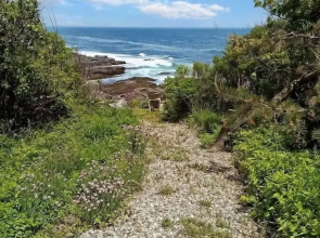 Seacoast Sanctuary