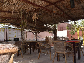 Bedouin Garden Village, Hotel Dive