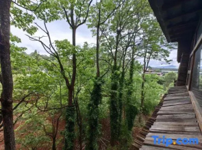 Lijiang junayuanzhu Homestay