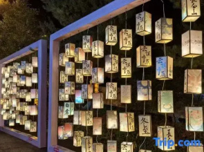 Jilin Province Changbai Mountain Atour Project