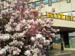 Hotel Saccardi & Spa - Adults Only