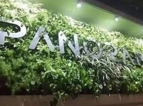 Goistay Discover Unparalleled Elegance in the Clouds A Luxury Apartment in th