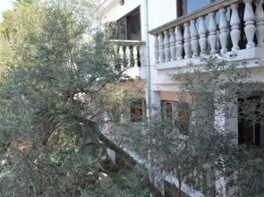 Apartments Petra