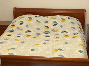 APPARTEMENT RDC AVEC 1 CHAMBRE à 5 METRES A PIED DE LA DIGUE DE LA PANNE