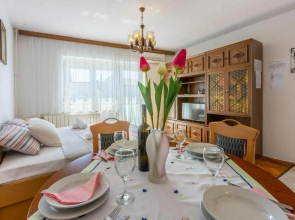 Apartment Ivana