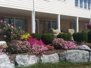 A Suite Escape Bed & Breakfast and Vacation Home