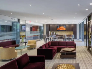 Beautiful & Spacious Apt in Crystal City