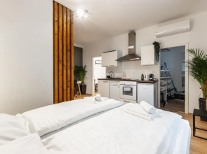 Comfortable studio in the heart of Vienna