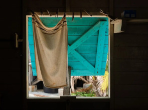 Belize Adventures at Long Caye