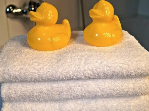 Winterberg Appartement 21001