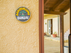Bonsai B&B Alghero