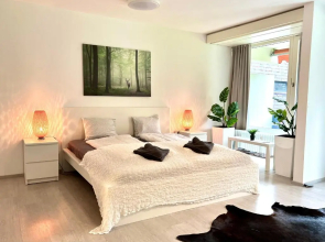 Jutta Deluxe Apartment #301