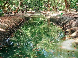 Warakorn Baansuan - Amphawa