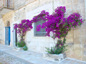 Casa del Sud