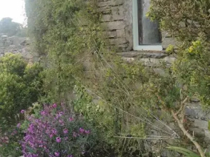 Rose Meadow Cottage